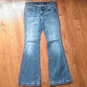 Express fit and flare jeans